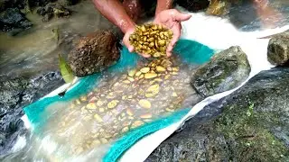 WOWW,,IDEA TERBARU MENCARI EMAS~MENGGUNAKAN KARPET~can get hundreds of grams of gold / day