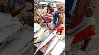 💁🐬 kasimedu fish market💥#shorts#chennaiyinmeenvlog #viral#mommyzzzshopping #fish#kasimedu#vanagaram