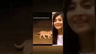 funny 🤣reaction.. #shortfeed #viral #reaction #rmreact #like #funny #viralfeeds #views😫