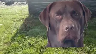 Predadramas de domingo :D :D :D @GUAY2TV @CentralStrikeAirsoft @RunCamFPV
