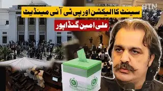 Senate Elections, Pak-Afghan Tensions & Khyber Pakhtunkhwa Security | Ft Ali Amin Gandapur