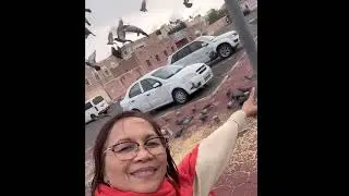 Playing and teasing doves  and be responsible to any  kinds of birds !