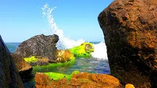 Ocean Waves Crashing On Rocks #Shorts