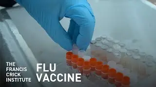 Making a Vaccine for a Virus That Never Stops Changing