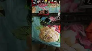 Celebration Nia vs hyper glow Thomas