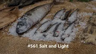 #561 Salt and Light CC