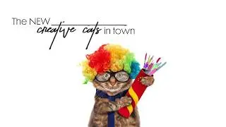 Monday Creatives - The New Creative Cats in Town
