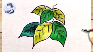 Comment dessiner un feuillage d arbre facile