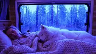 Heavy Rain and Gentle Thunder for Sleeping &ndash; Quiet Blue Night | Ease Anxiety