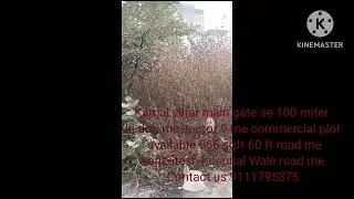kamal vihar sector 9 me commercial plot