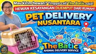 Pet Delivery Nusantara &ndash; Jasa Kirim Hewan Aman & Terpercaya | The Batic