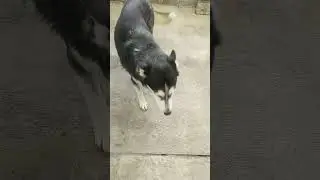 Desenle suerte a bombón por su segunda quimio  es gasto de traslados y la aplicación de quimio 