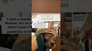 Purr-fectly Hilarious Cat Calendar 2025! Get Yours Now!