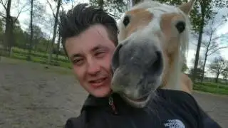 Train Your Horse With Love
