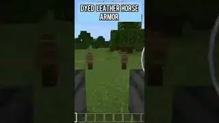 Dyed leather horse armor in Minecraft 😮