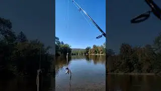 leaf bass everywhere! #fishingfail #fishing #fishingvideo #bass #basspro #country #river #newyork