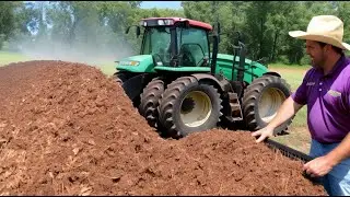 Natural Cutworm Control: Collaring and Monitoring in Your Garden
