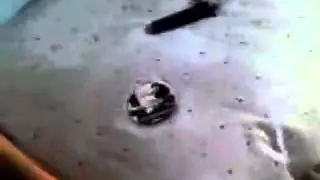 Mw3 &eacute; un gioco di merda!!!