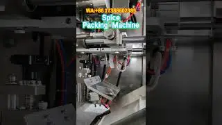 Spice Packing Machine, Spice Pouch Packing Machine, Condiment Packaging Machine
