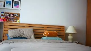 Etudes Domestic's