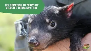 CELEBRATING 10 YEARS OF WILDLIFE CONSERVATION