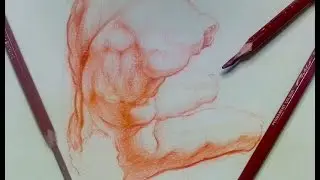 Figure drawing Tips & Demo | Belvedere Torso on toned paper