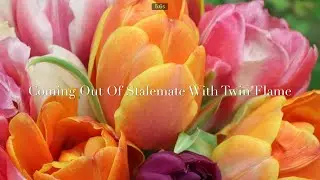 Love Story: Taurus, Coming OUT OF STALEMATE With Twin Flame! March 1-15, 2020