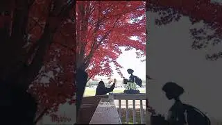 Raking Leaves 10/21/2023 #autumn #leaves #raking