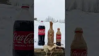 SCHWEPPES, COCA COLA vs MENTOS | #Shorts