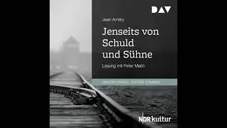 Jenseits von Schuld und S&uuml;hne (Gek&uuml;rzt) - Jean Am&eacute;ry