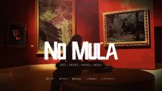 Skizu & DST - No Mula REMIX (cu NOSFE & NVRO)