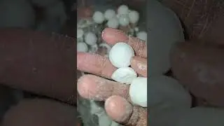 Naphthalene ball  smelling, hand crushing and mixed compur powder.