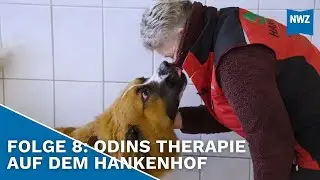 Schwerer Gehfehler nach Sturz in der Hundeschule - Neues von Carmen Hanken