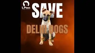 SAVE DELHI DOGS