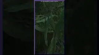Miscreated Airdrop in 60 Seconds