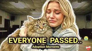  We Let Cats Pick Their Families on Adoption Day And THIS Happened 💔😭