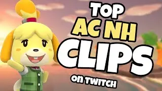 TOP TWITCH CLIPS | Animal Crossing: New Horizons
