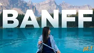 We saw a BEAR! | Banff Vlog #1| miahnicolette