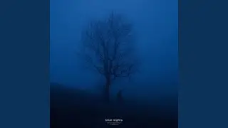 blue nights
