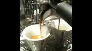 Pavin caffe