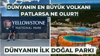DÜNYA'NIN İLK DOĞAL PARK'INI GEZİYORUM! | YELLOWSTONE NATIONAL PARK 1. BÖLÜM  | 4. GÜN |
