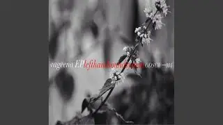 Vageena (Original Mix)
