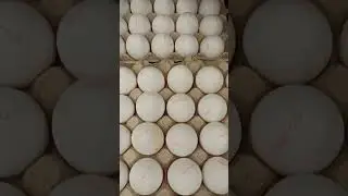 ЯЙЦО Куриное.Цена в магазине 