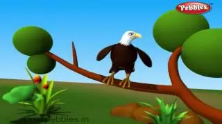 Eagle Bird Nursery Rhyme | Bird Rhymes | Nursery Rhymes For Kids | Nursery Rhymes 3D Animation