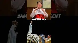 Cardinal Tagle's encounter with Mother Mary