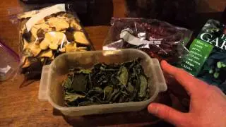 Growing Hops and Brewing Beer - Hop Project Episode 24