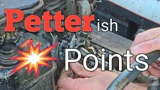 Petter Generator. Will it start after 19 years? 