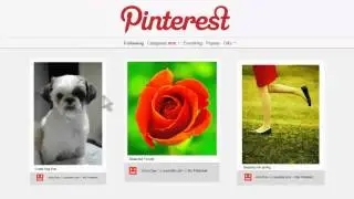 Pinsomo WordPress Theme Looks Works Like Pinterest