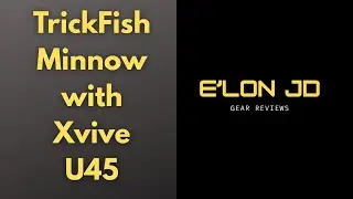 Trickfish Minnow w/ Xvive U45 In Ear Monitor system: Travel Bass Rig