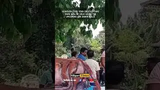 #Watch | Ambari&rsquo;s historic &lsquo;Ganga-Snan Mela&rsquo; cancelled following restrictions by the administration